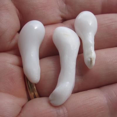 Three Large Wonderful Clam Pearl Drops 43+ carats 26 - 42mm
