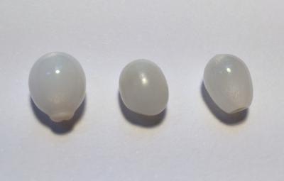 Three Oval Clam Pearls 
