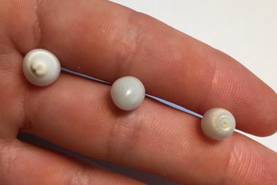 Three Oval Clam Pearls 