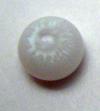 1.6 carat clam pearl