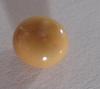 1.8 carat Conch Pearl Cream Button