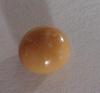 1.8 carat Conch Pearl Cream Button