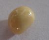 1.8 carat Cream Colored Conch Pearl