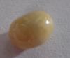 1.8 carat Cream Colored Conch Pearl