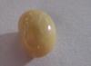 1.8 carat Cream Colored Conch Pearl