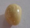 1.8 carat Cream Colored Conch Pearl