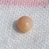 1 carat Oval Conch Pearl