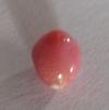 1.2 carat Pink Conch Pearl with Flame
