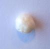1.90 carat Scallop Pearl Button Shape