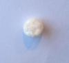 1.90 carat Scallop Pearl Button Shape
