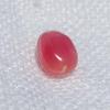 1.27 Conch Pearl Bright Pink Oval 7mm for Sale