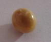 1.6 ct  Brown Conch Pearl