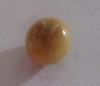 1.6 ct  Brown Conch Pearl