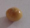 1.6 ct  Brown Conch Pearl
