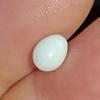 1+ ct Clam Pearl Egg Shape for Sale