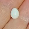 1+ ct Clam Pearl Egg Shape for Sale