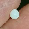 1 ct Clam Pearl for Sale