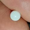 1 ct Clam Pearl for Sale