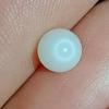 1+ ct Clam Pearl for Sale Egg Shape 