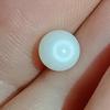 1+ ct Clam Pearl for Sale Egg Shape 