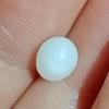 1+ ct Clam Pearl for Sale Egg Shape 
