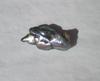 10 carat Abalone Pearl 25mm Bluish Iridescence