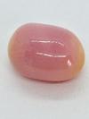 10ct Pink Flame Conch Natural Pearl for Sale