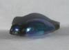 10mm Iridescent Bluish Abalone Pearl for Sale