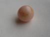 10mm Round Conch Pearl