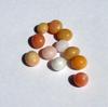 11 Conch Pearls 9 carats - Total Various Colors