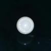 11.3ct clam pearl with flame