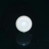 11.3ct clam pearl with flame