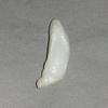 11.5 ct  Elongated Clam Pearl - high chatoyance