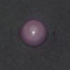 9.92 carat 13.5 Quahog Pearl - top