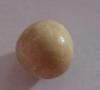 14.1 carat conch pearl