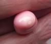 14.20 carat Pastel Pink Conch Pearl