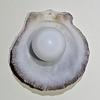 14+ ct White with Flame Clam Pearl Egg for Sale