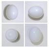 14+ ct White with Flame Clam Pearl Egg for Sale