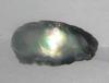 14mm Natural Iridescent Abalone Pearl for Sale