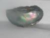 14mm Natural Iridescent Abalone Pearl for Sale