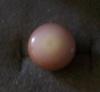 10.65 carats 14mm Quahog Pearl - Bottom