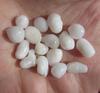 16 Clam Pearls 49 carats Total Baroque Shape for Sale