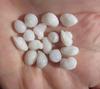 16 Clam Pearls 49 carats Total Baroque Shape for Sale