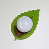 16+ ct Magnificent Clam Pearl Button 