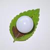 16+ ct Magnificent Clam Pearl Button 