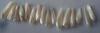 16 Spike Natural USA Pearls