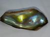 175 Carat Abalone Pearl Iridescent Blues and Greens