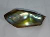 175 Carat Abalone Pearl Iridescent Blues and Greens