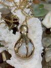 17CT Cassis Pearl Octopus Pendant 14KT Gold With Sapphire Eyes