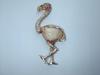 18kt Rose Gold Flamingo Conch Pearl Pin